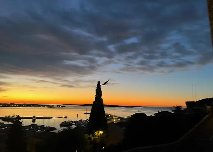 La Maison By Simone, La Vrai * Cannes